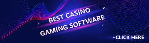 Best online casino software for gamers